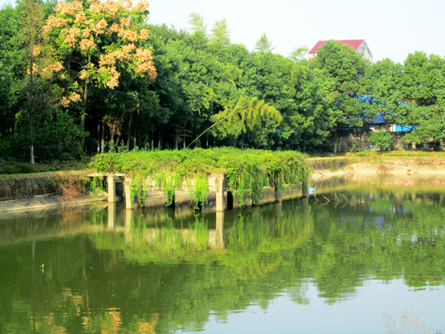 草莓视频APP在线下载園湖光美景