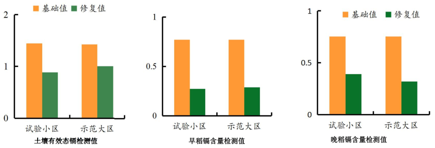 農田鎘汙染草莓视频下载黄污3