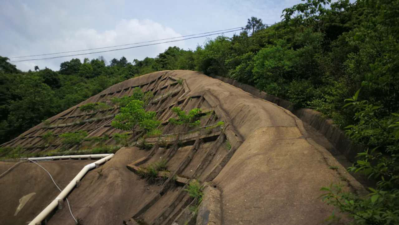 醴陵市國土資源局後山護坡生態覆綠項目